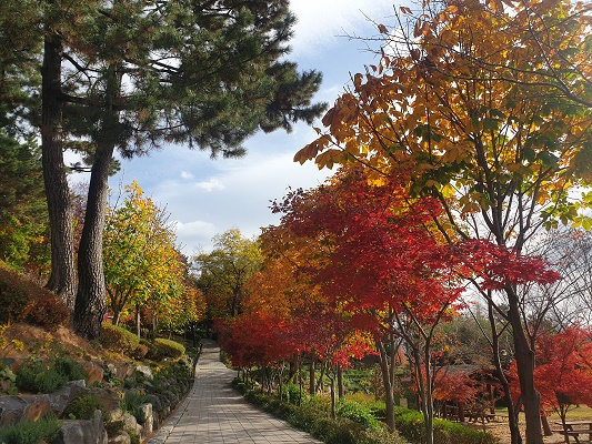 (창원수목원) 수목원 숲해설 프로그램 3