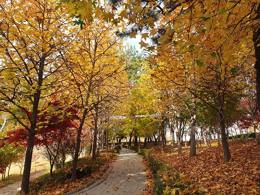 (창원수목원) 수목원 숲해설 프로그램 4