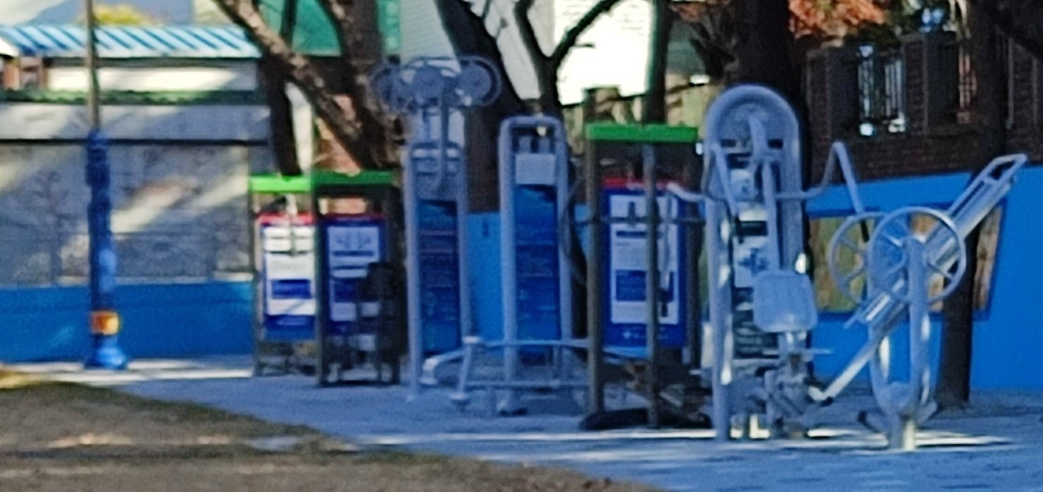 느티나무 공원 내 야외운동기구 1