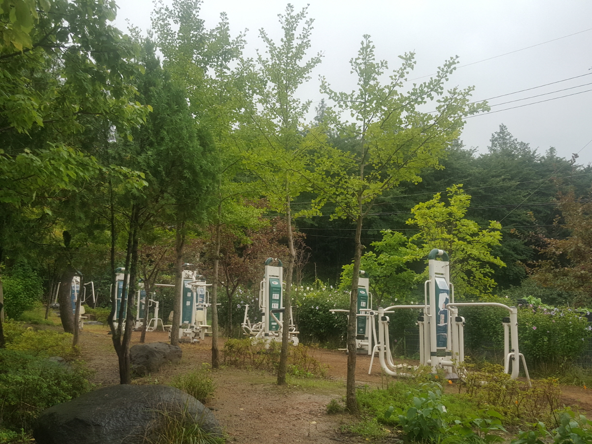 비래초등학교 야외운동기구 1