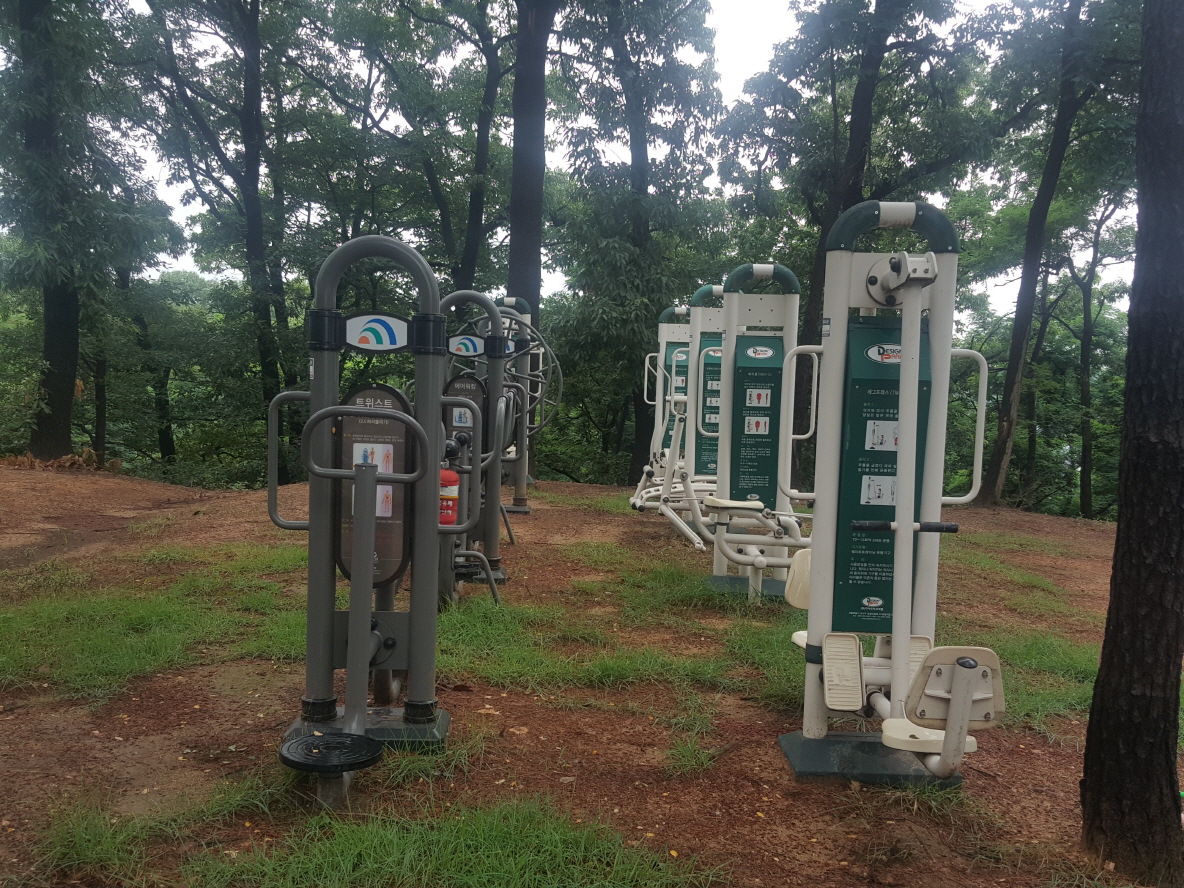 대화동 산업용재유통단지 인접 동산 야외운동기구 1