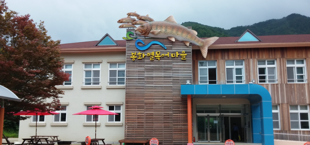 봉화열목어마을야영장 1