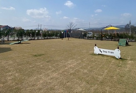 춘천시 반려견놀이터 4