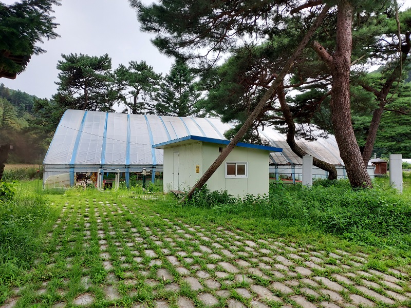 봉명2리 게이트볼장 1