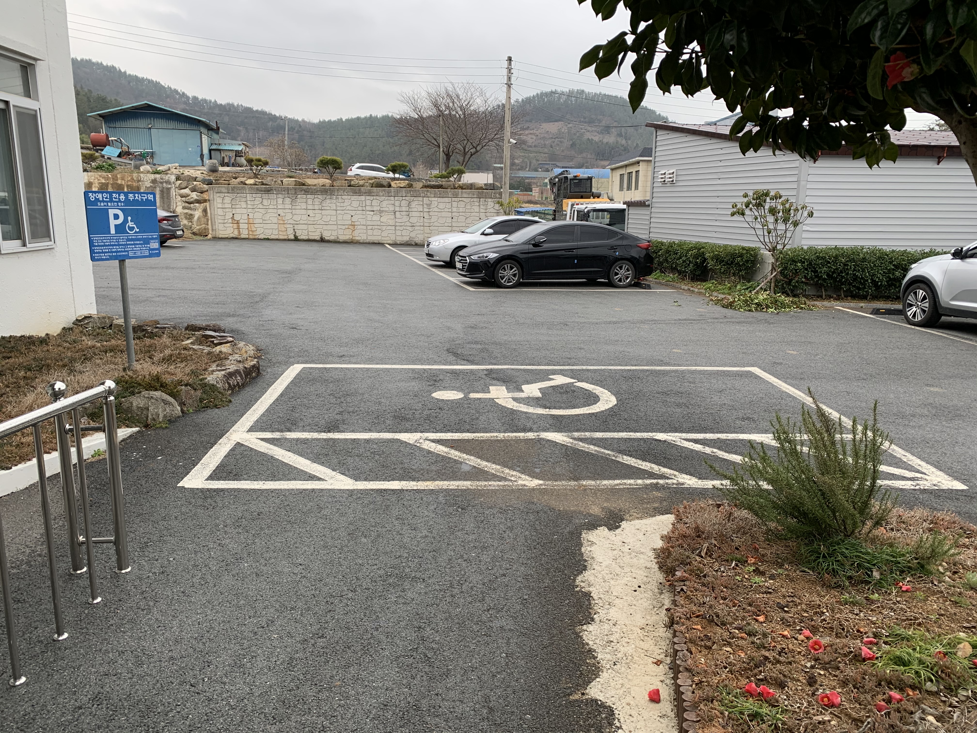 대구면 본관 방문객…