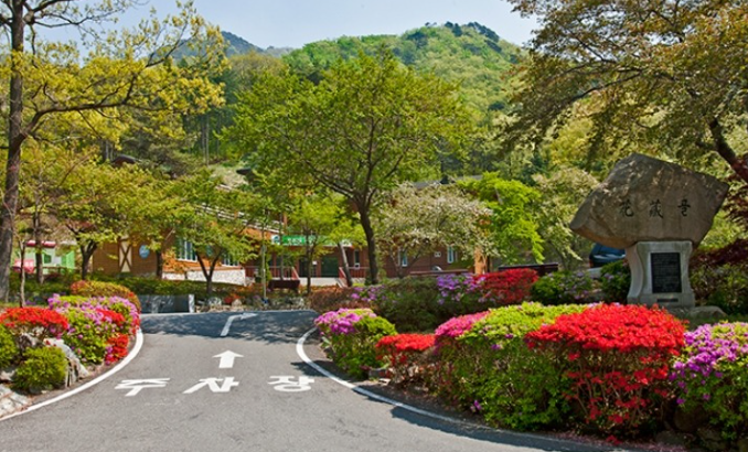 성주산자연휴양림 숙박시설 1