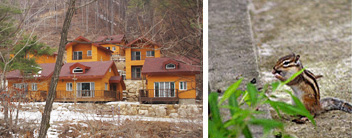 금원산 산림 자원 관리소 숙박 시설 1