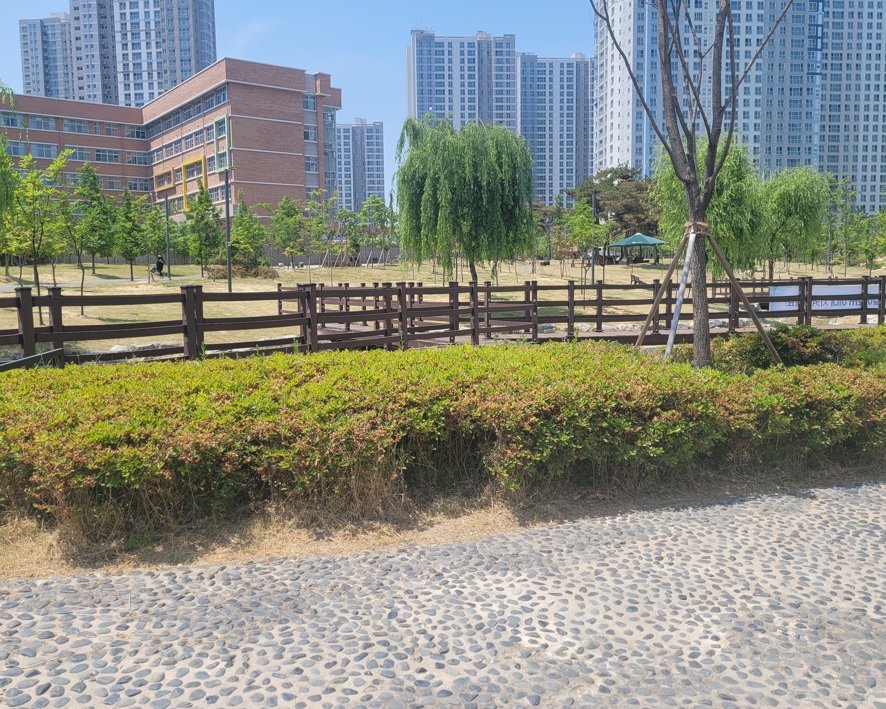 능수버들공원(불당) 1