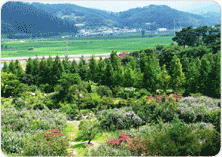 경상남도 수목원 무궁화공원 1