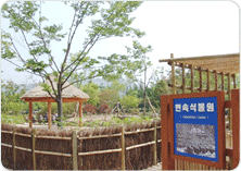 경상남도 수목원 민속식물원 1