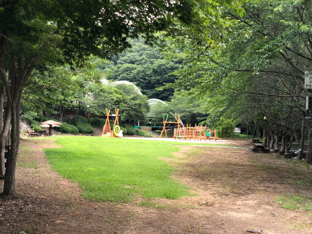 용천사 꽃무릇공원 2