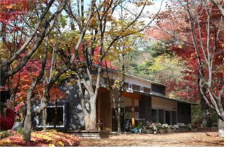 삼청공원 숲속도서관 1