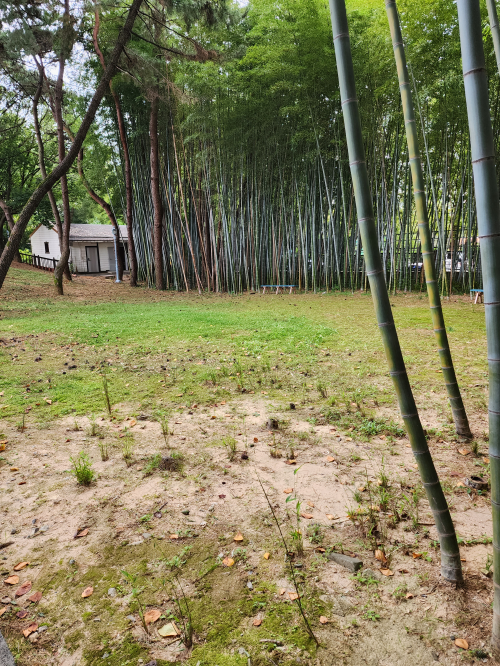 경남 도민의 집(야외정원) 3