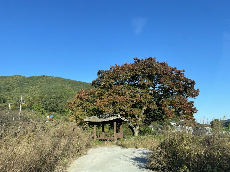 서암하천쉼터 1