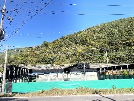 죽전게이트볼장 1