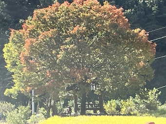 천락들쉼터 1