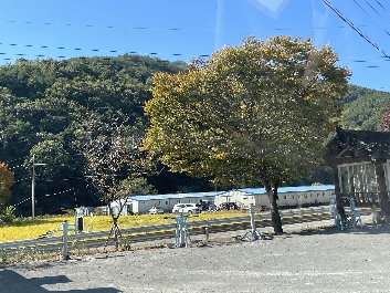 천락운동기구 1