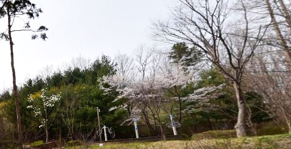 달비체근린공원 1