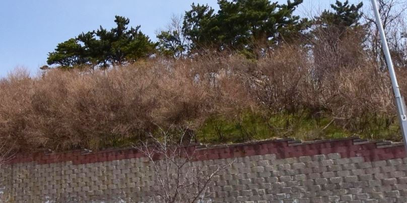 꿈마루근린공원 1