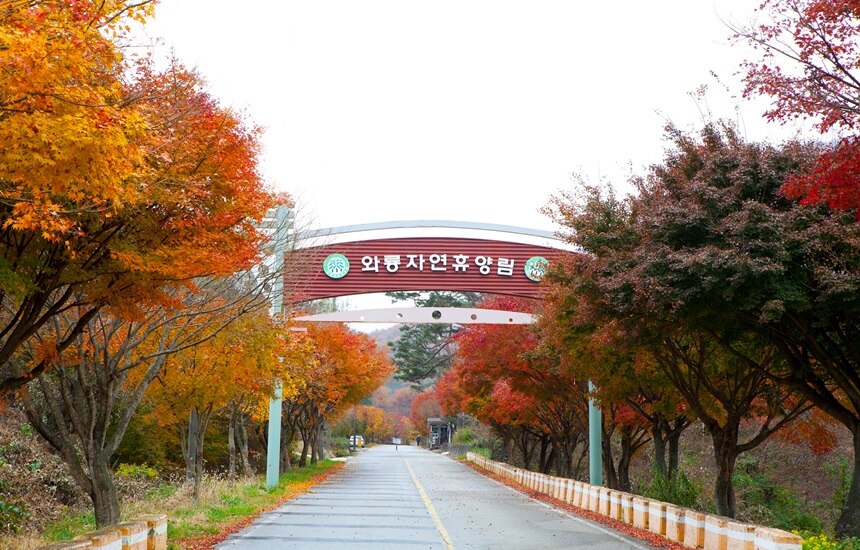 와룡 캠핑카 야영장 1