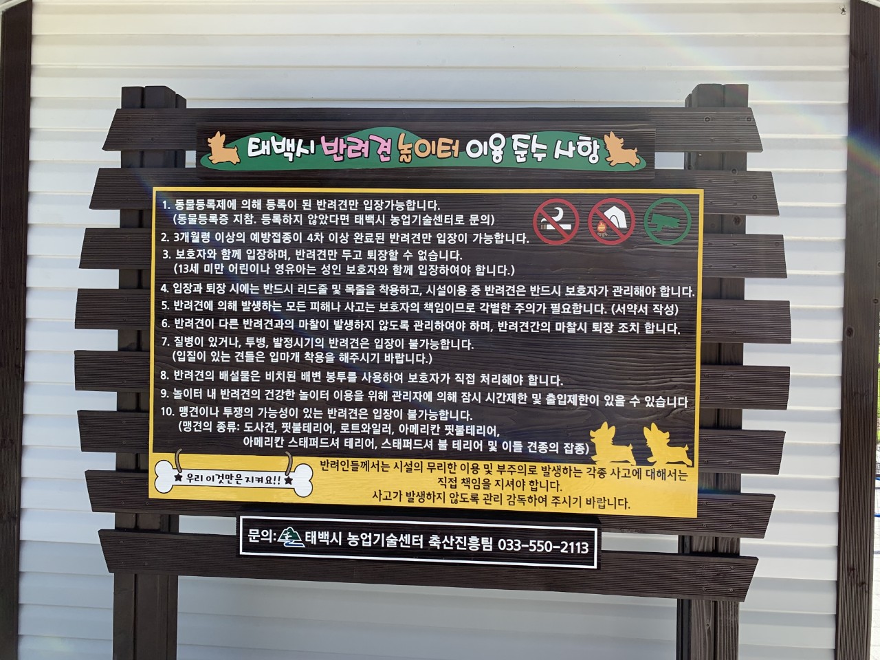 태백시 반려동물 놀이터 2