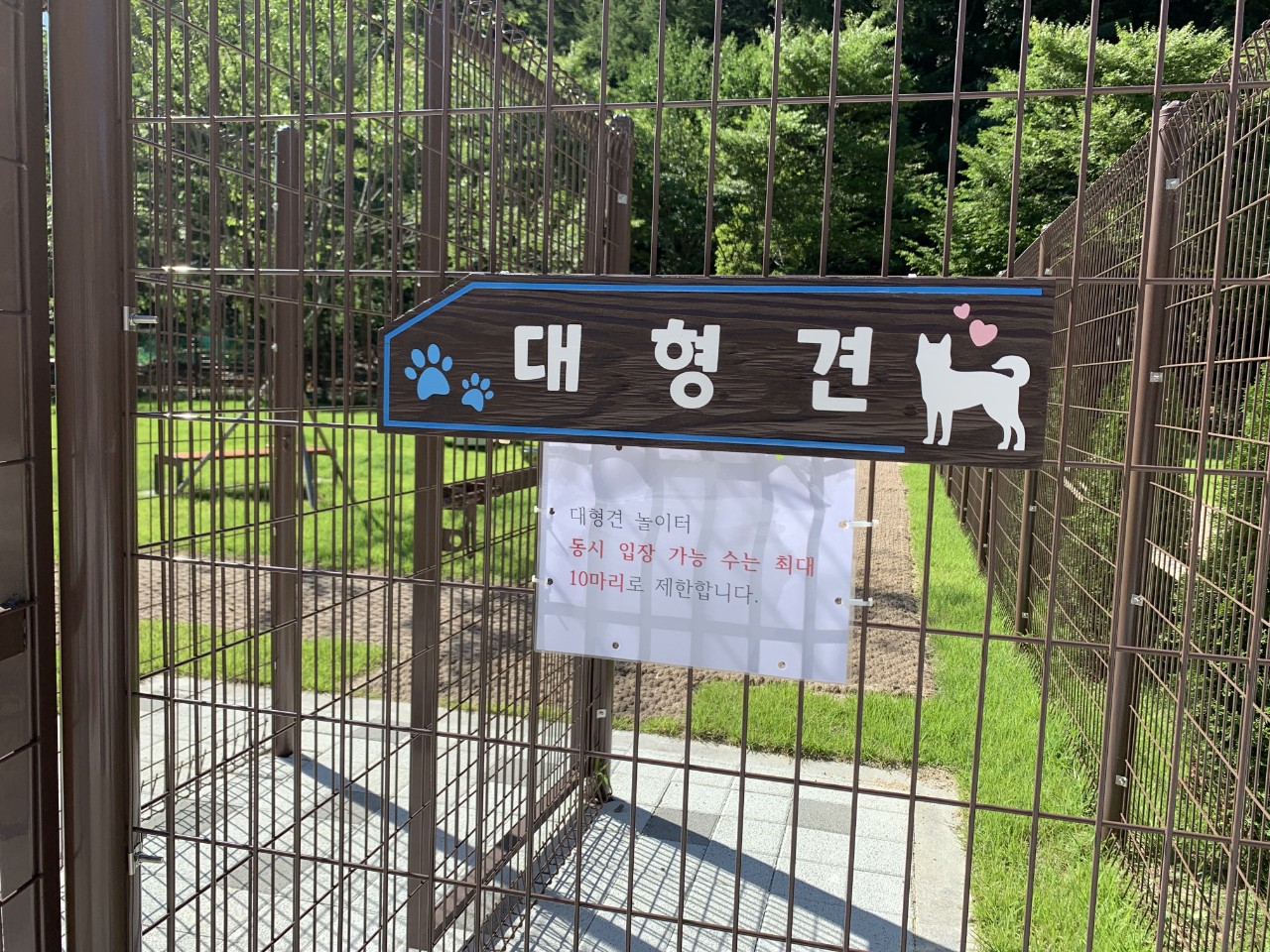 태백시 반려동물 놀이터 4