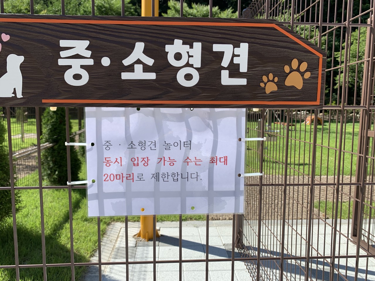 태백시 반려동물 놀이터 5