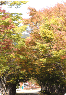 경상남도 수목원 1