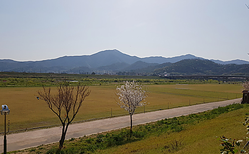 가곡체육공원 1