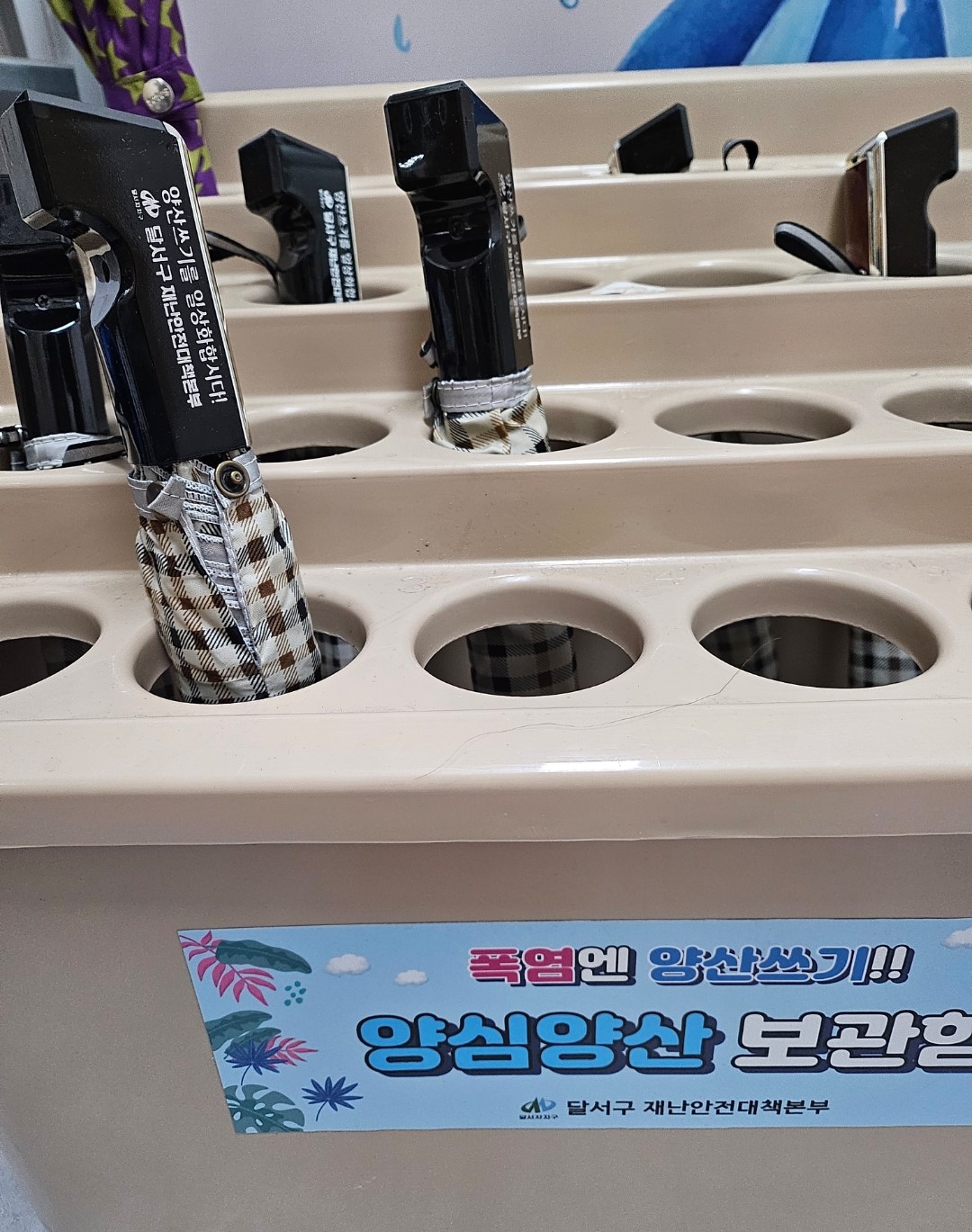 죽전동 양심우산 대여