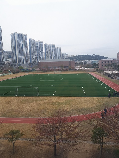 인조잔디구장(축구장) 1