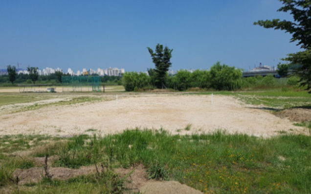 덕흥동 족구장 1