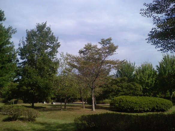 광복의 동산 2