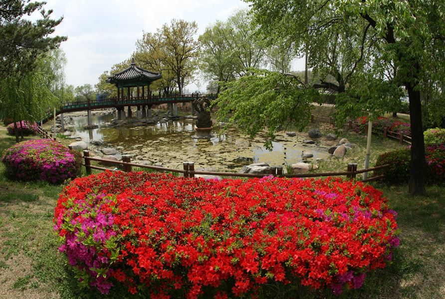 천안삼거리공원(삼룡동) 1