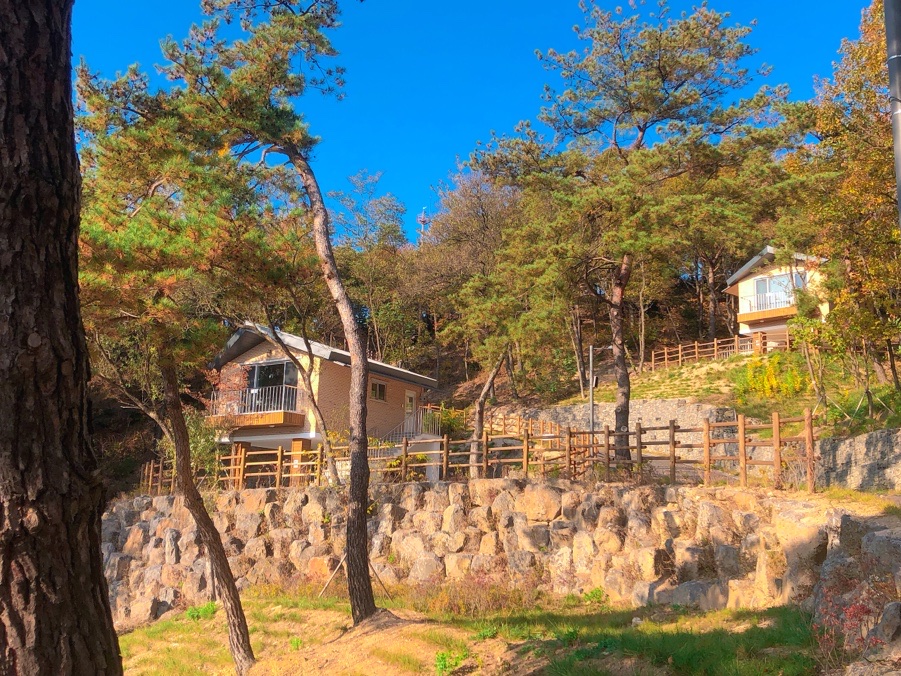 철원군 두루웰숲속문화촌 1