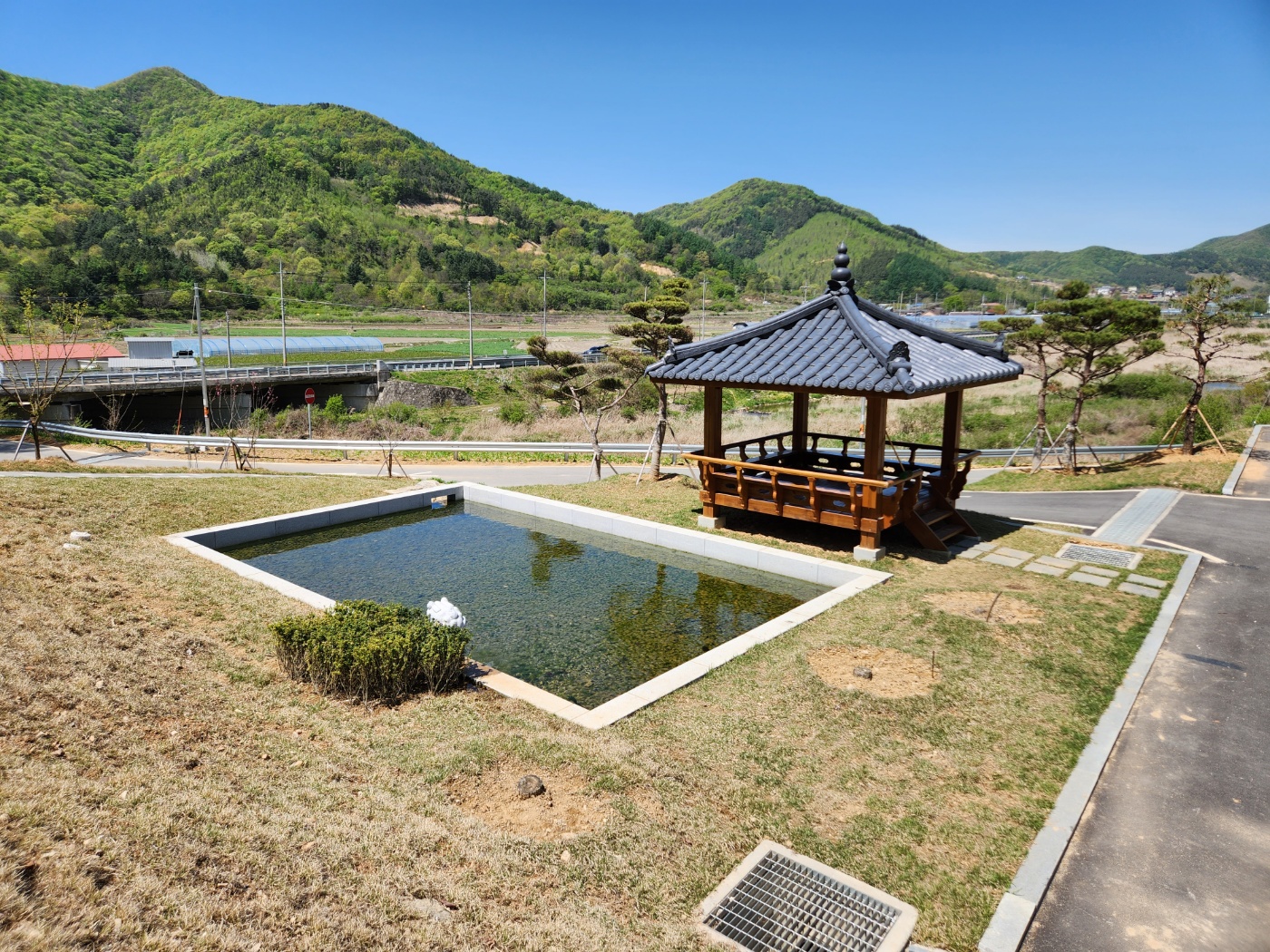 부귀 편백숲 산림욕장 3