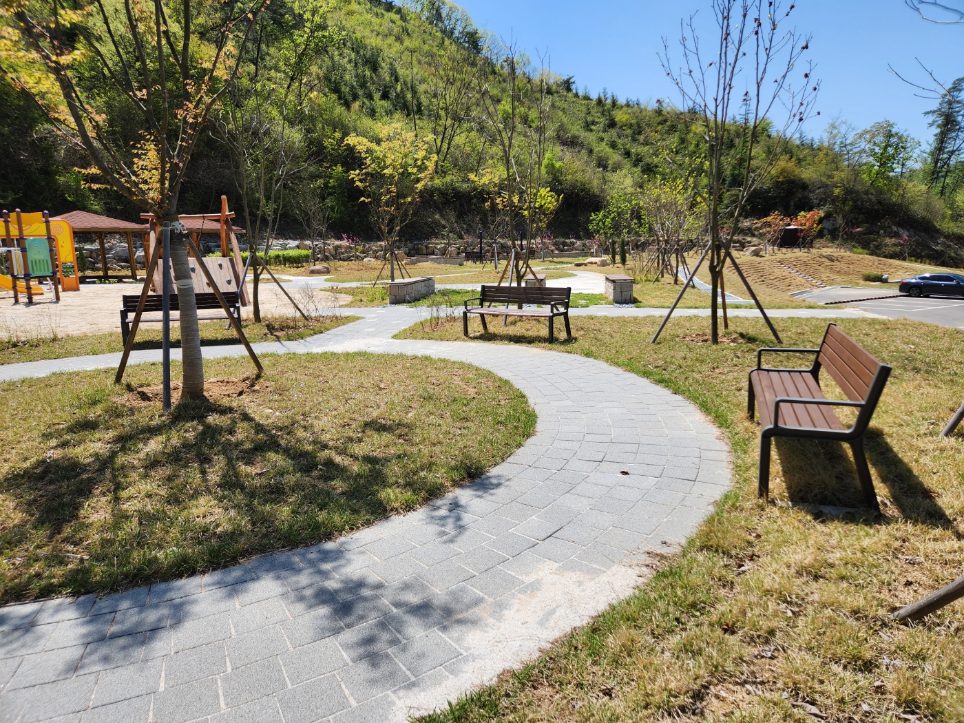 부귀 편백숲 산림욕장 4