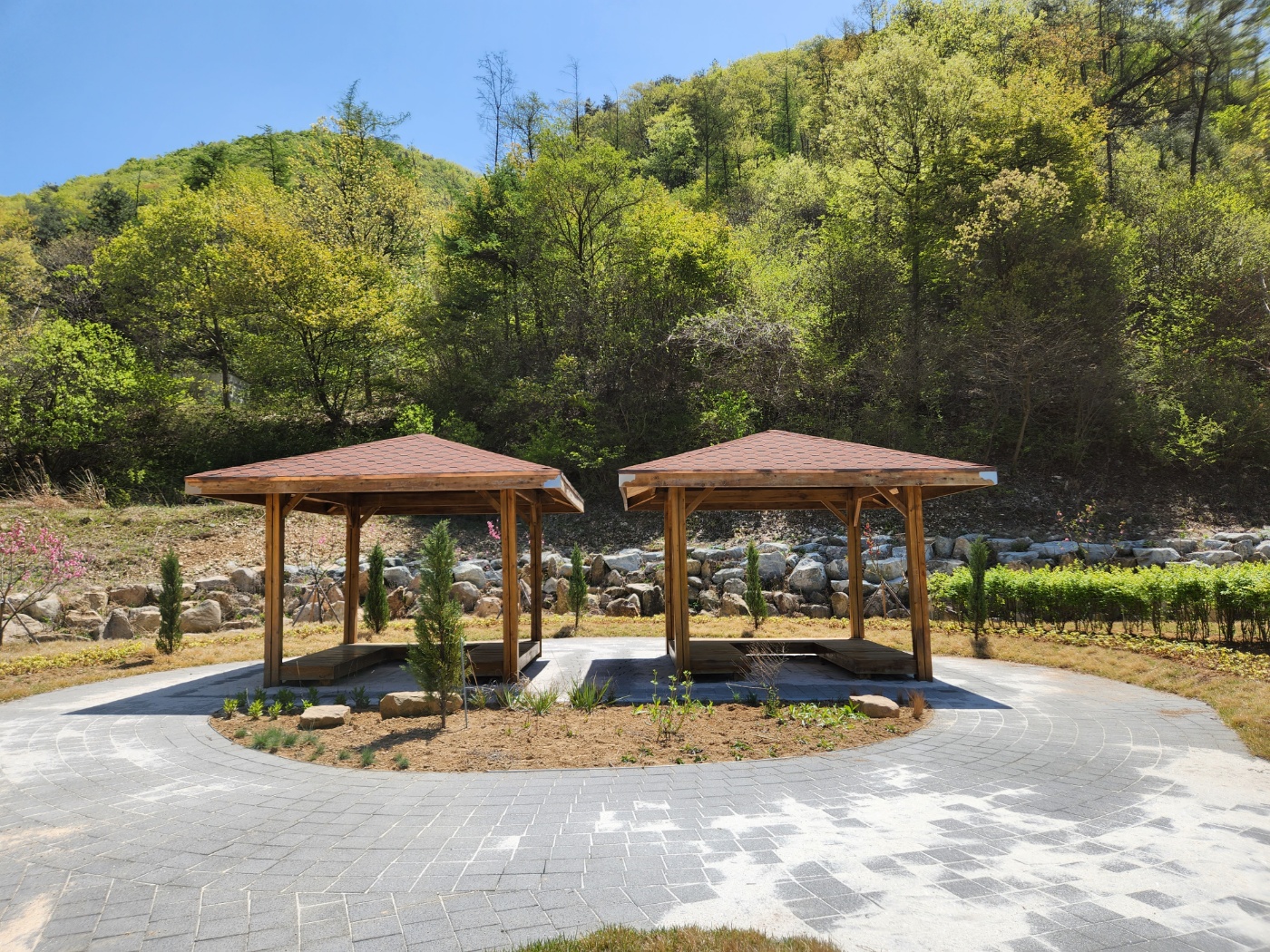 부귀 편백숲 산림욕장 5