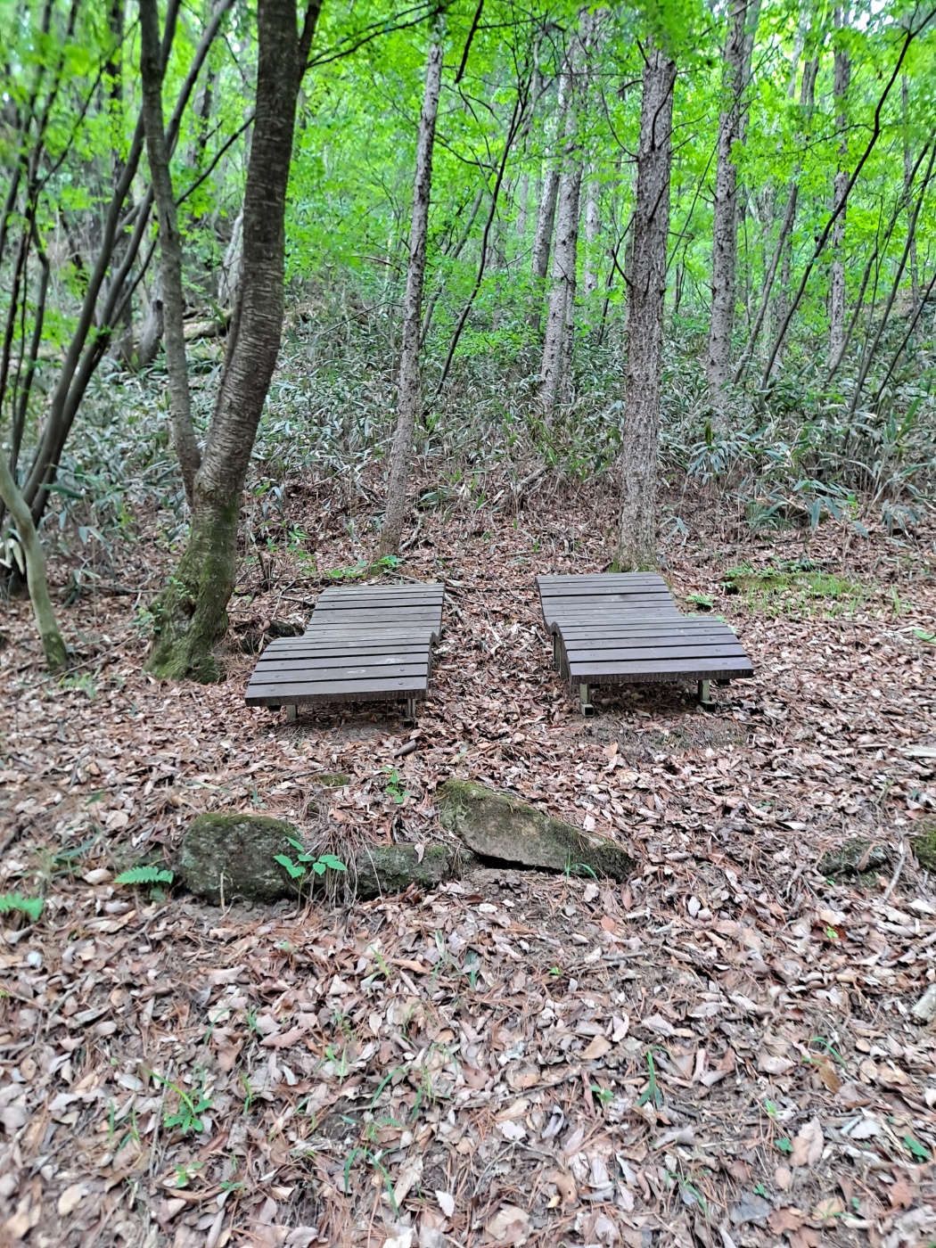 백운동 산림욕장 4