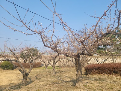 평사리 공원 4