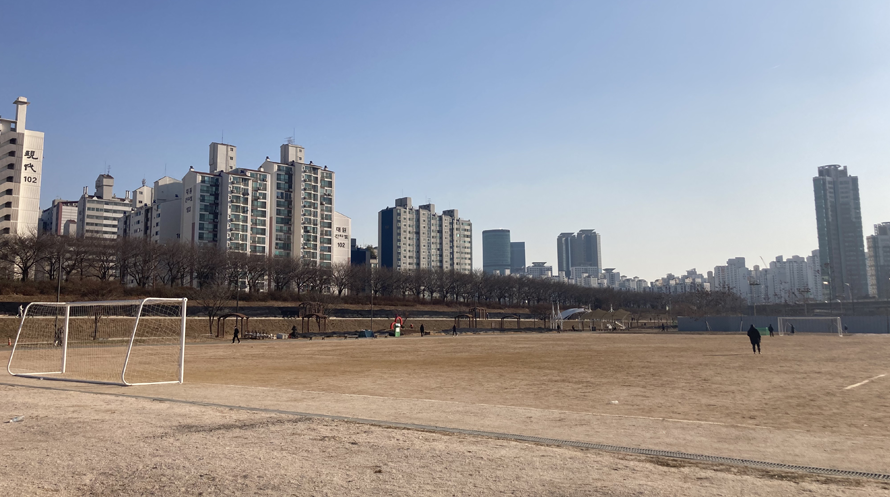 영롱이억새2구장(안양천 체육시설) 1