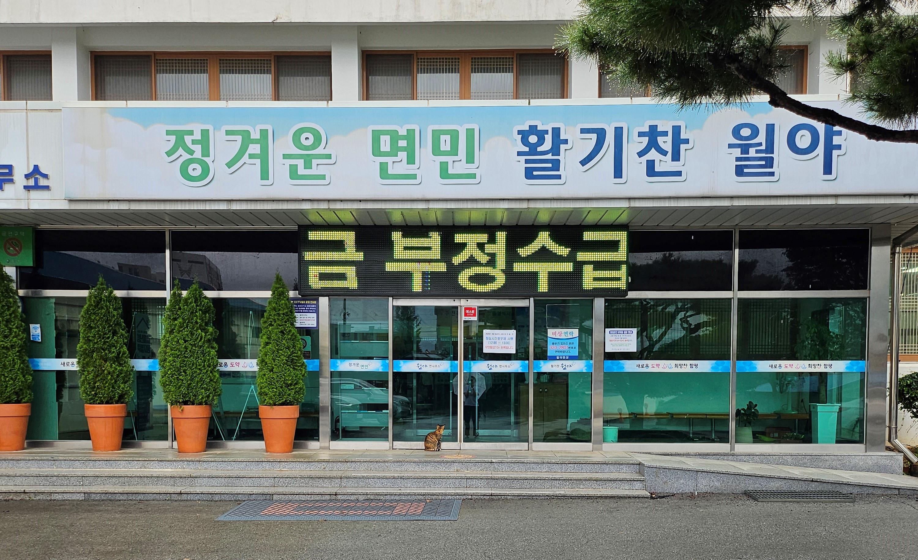 월야면 무더위쉼터(월야면사무소) 1