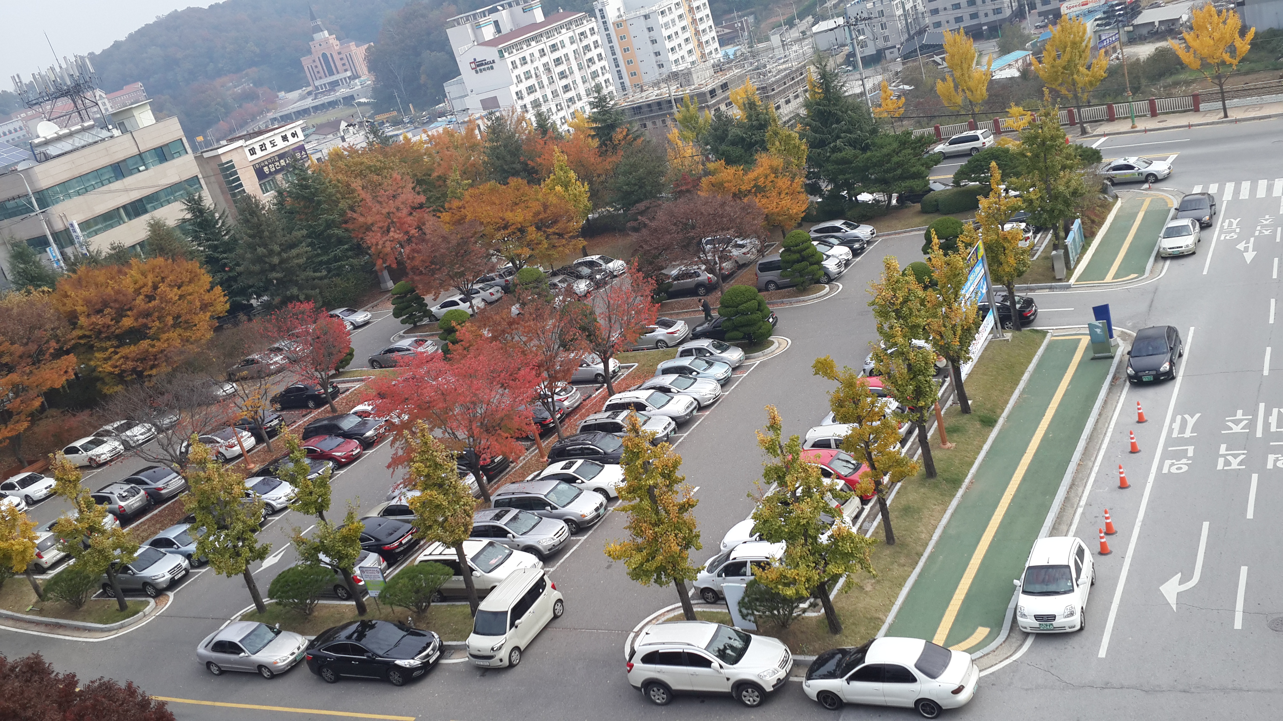 김천시청 본관앞 2