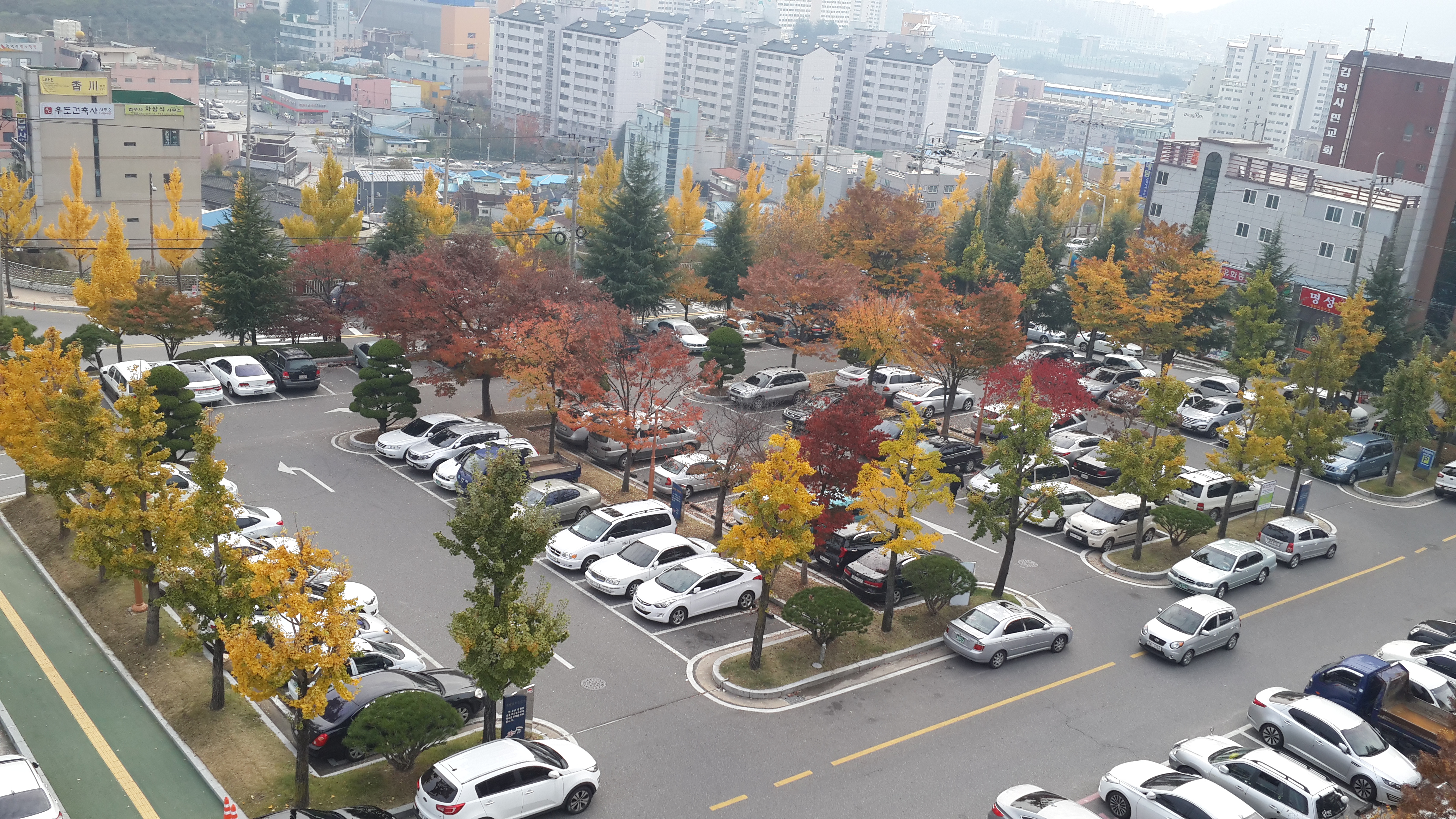 김천시청 본관앞 3