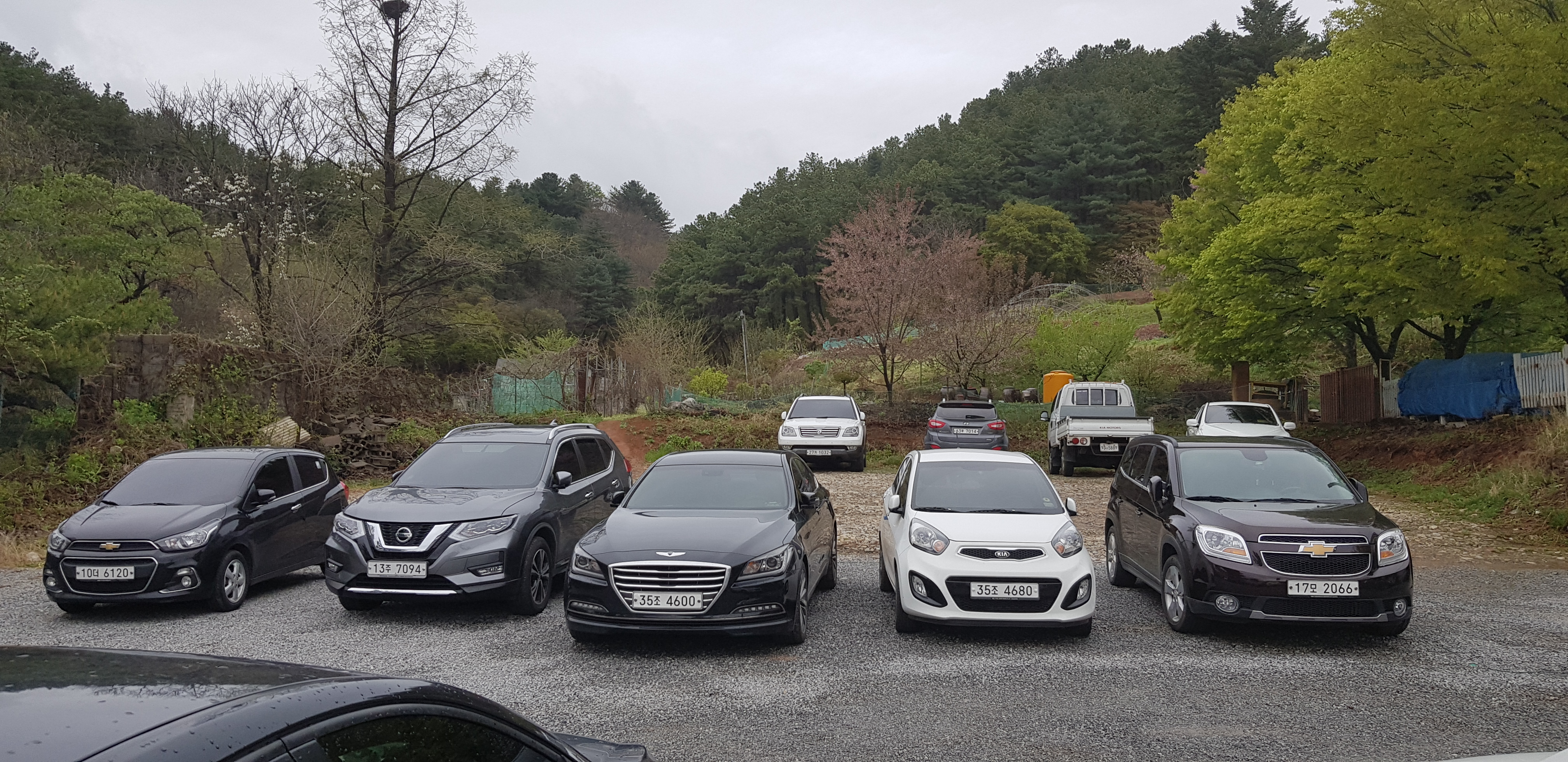 홍천군청 명동보육원…