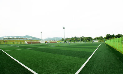 종합스포츠타운 보조(인조)축구장 1
