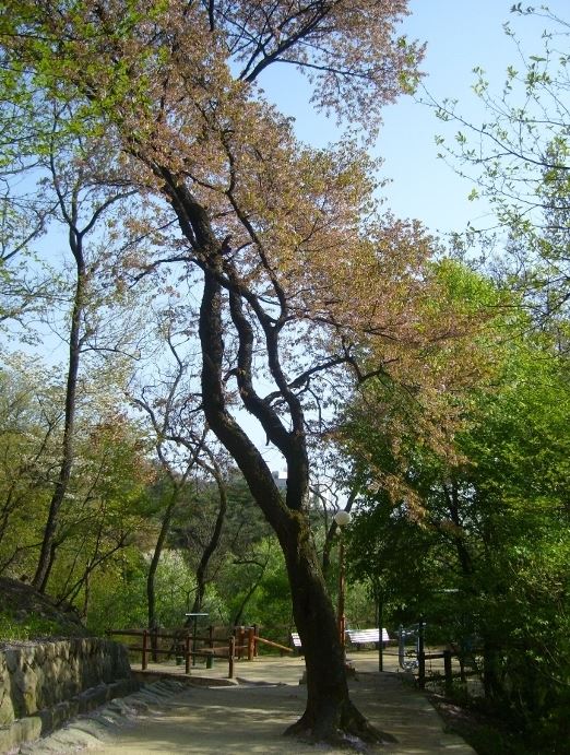 삼청공원 1