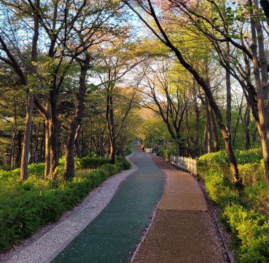 개운산근린공원 1