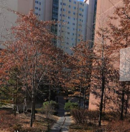 아름드리근린공원 1