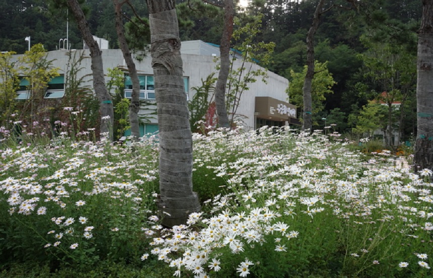무궁화전시관 1